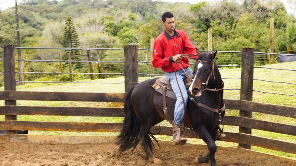 O melhor do turismo rural em Joinville 2 Turismo Rural em Joinville